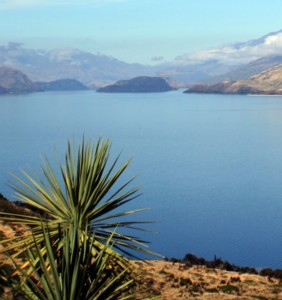 Lake Wanaka